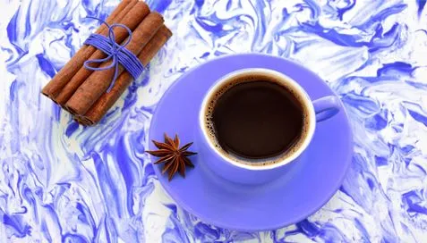 Tarçın Özü ile İlgili Başarılı Davamız