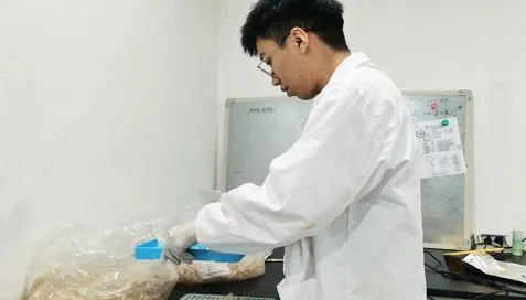 Özü Toz Kapsül Kabuk Ambalajımız