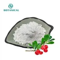 Bearberry özü tozu
