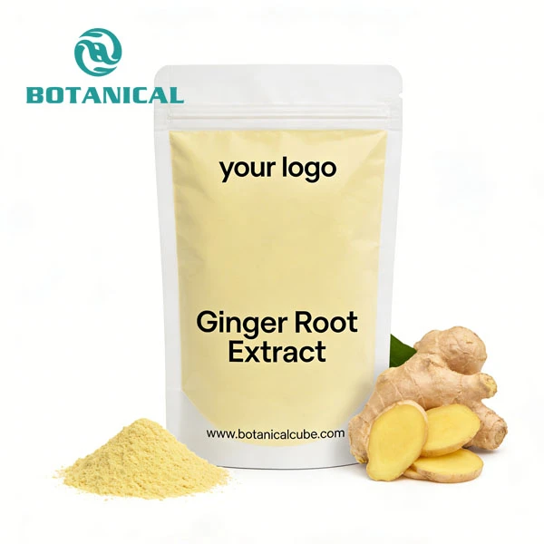 Ginger Root Extract Gingerol Powder OEM service